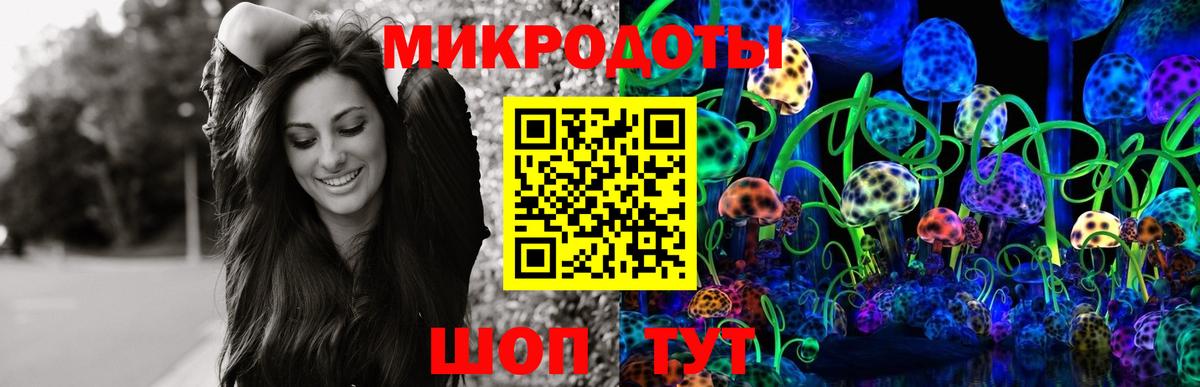 Галлюциногенные грибы Psilocybe Владикавказ