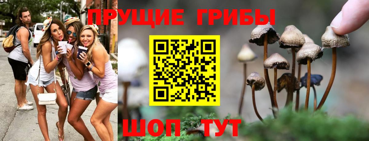 Псилоцибиновые грибы MAGIC MUSHROOMS  Вход с VPN  Владикавказ 